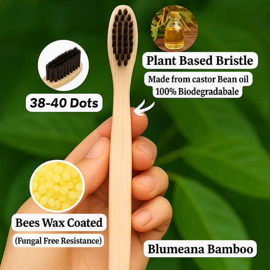Pack of 10 Bamboo Toothbrush